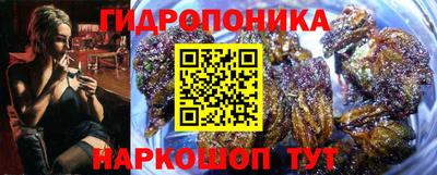 стафф Краснокаменск