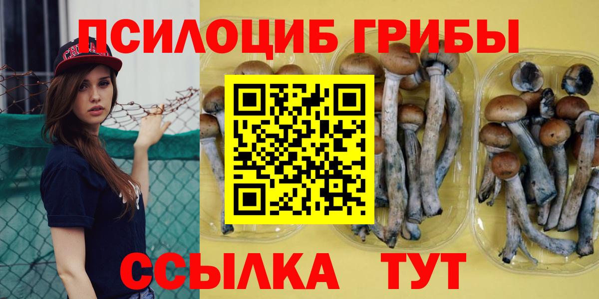 Арзамас  Псилоцибиновые грибы Cubensis  Вход с VPN 